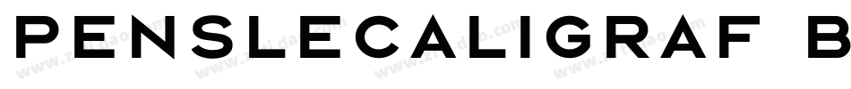 PensleCaligraf Bold字体转换